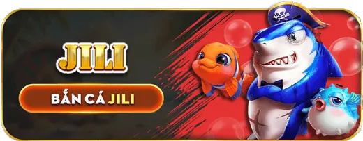 Dữ liệu cá nhân nhận dạng được tại ev99.com